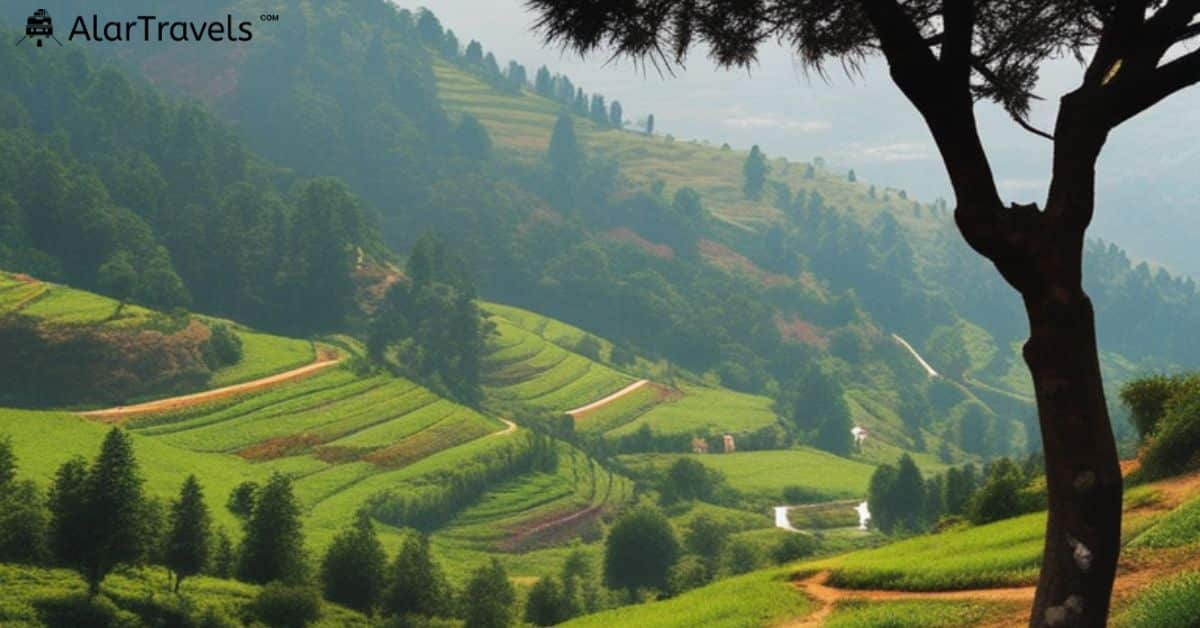 Ooty, Tamil Nadu