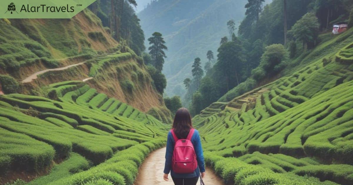 Safety Tips for Solo Female Travel in Darjeeling