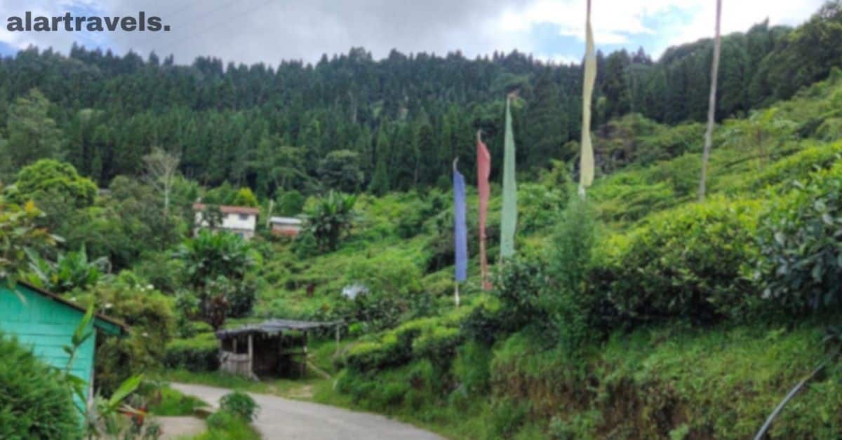 Travel Tips for a Smooth Journey to Tinchuley- How to Reach Tinchuley