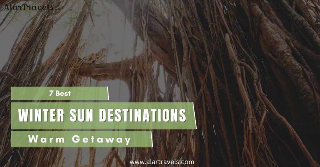 7 Best Winter Sun Destinations in India for a Warm Getaway