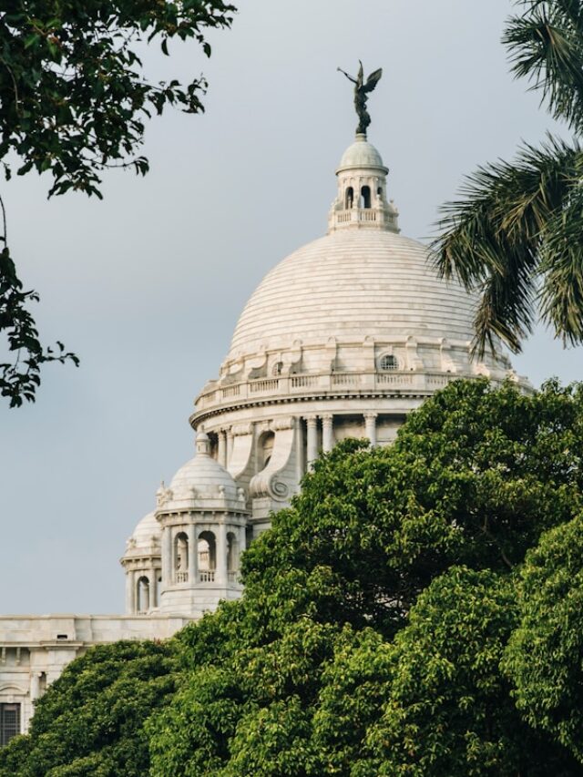 green trees beside white dome building during daytime
