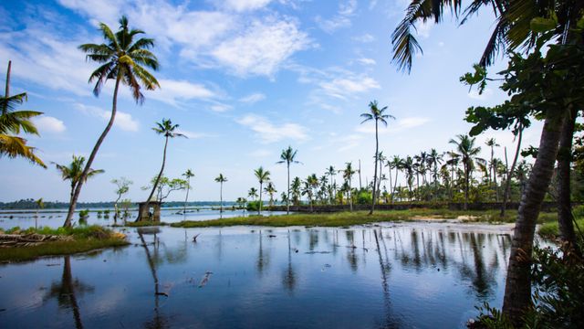 Kerala-AlarTravels